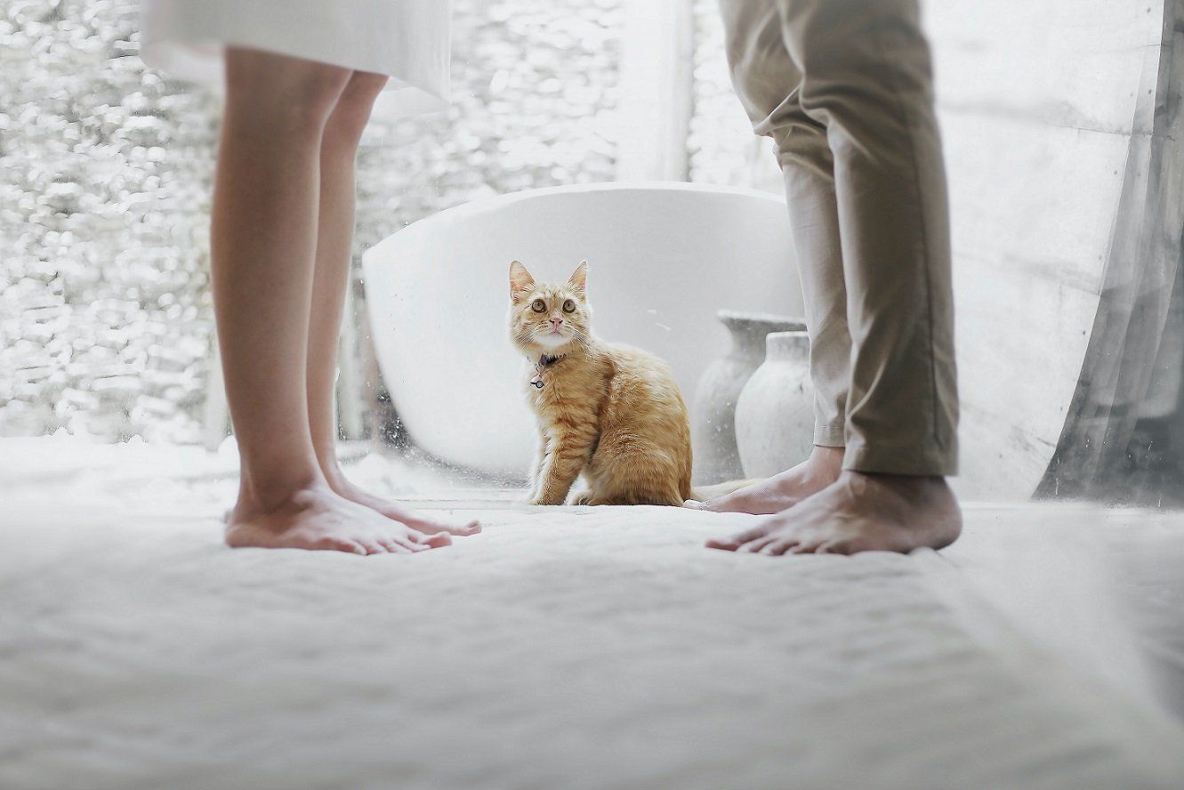 A man and a woman are standing next to a cat in a bathroom.
