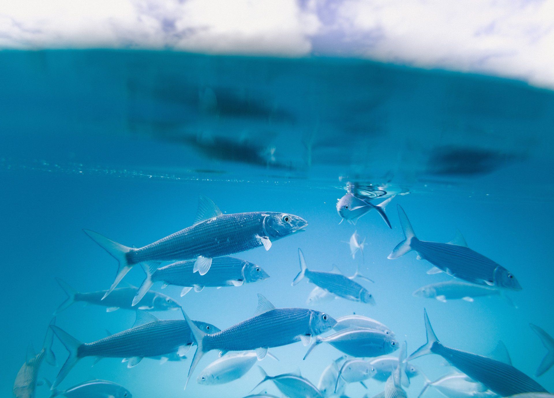 Effective Anger Management: Look out for the Hook!