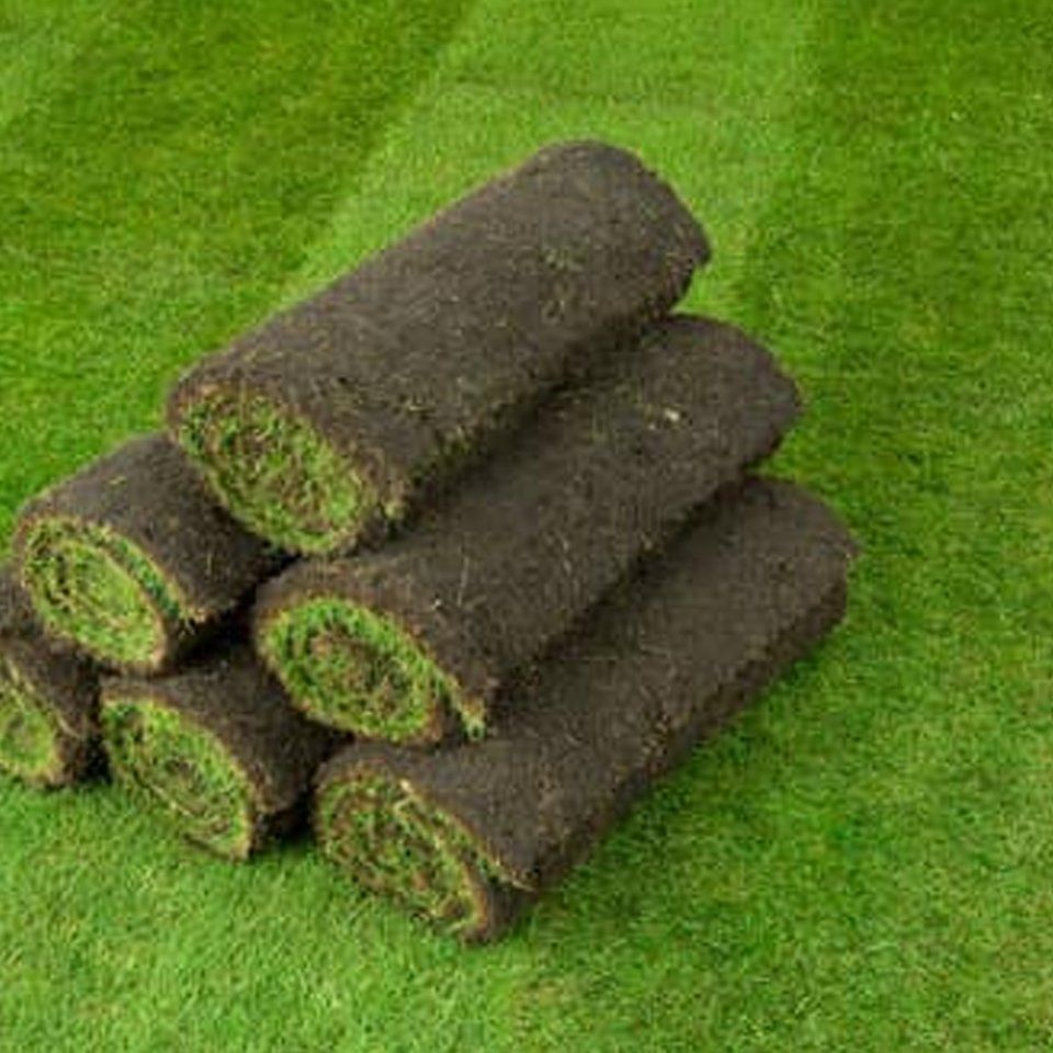Family festival turf