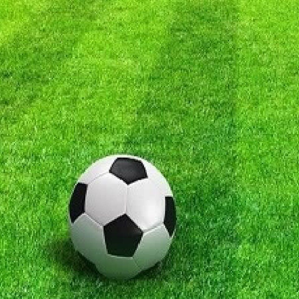 Sports turf