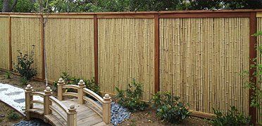 Bamboo Fence and Bridge Bamboo Fence and Bridge