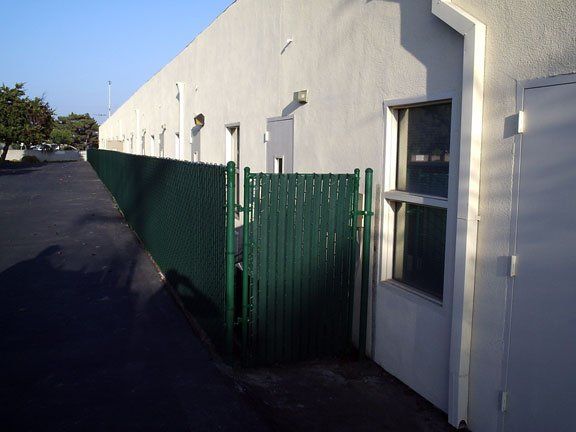 Driveway and Fence