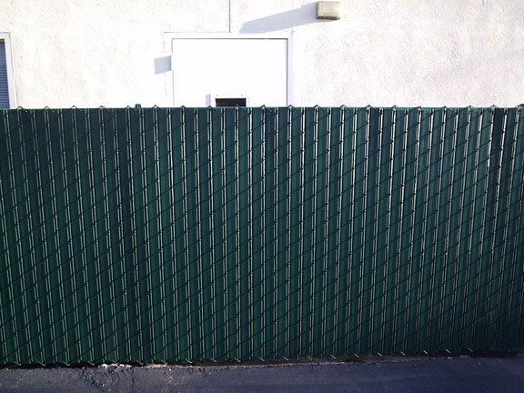 Driveway and Fence