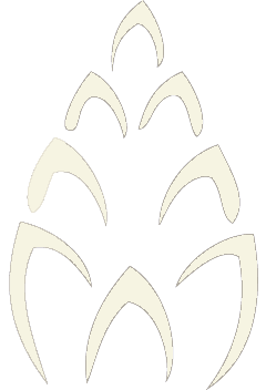 A symmetrical, cream-colored abstract graphic consisting of seven downward-pointing, chevron-like shapes arranged in a V.