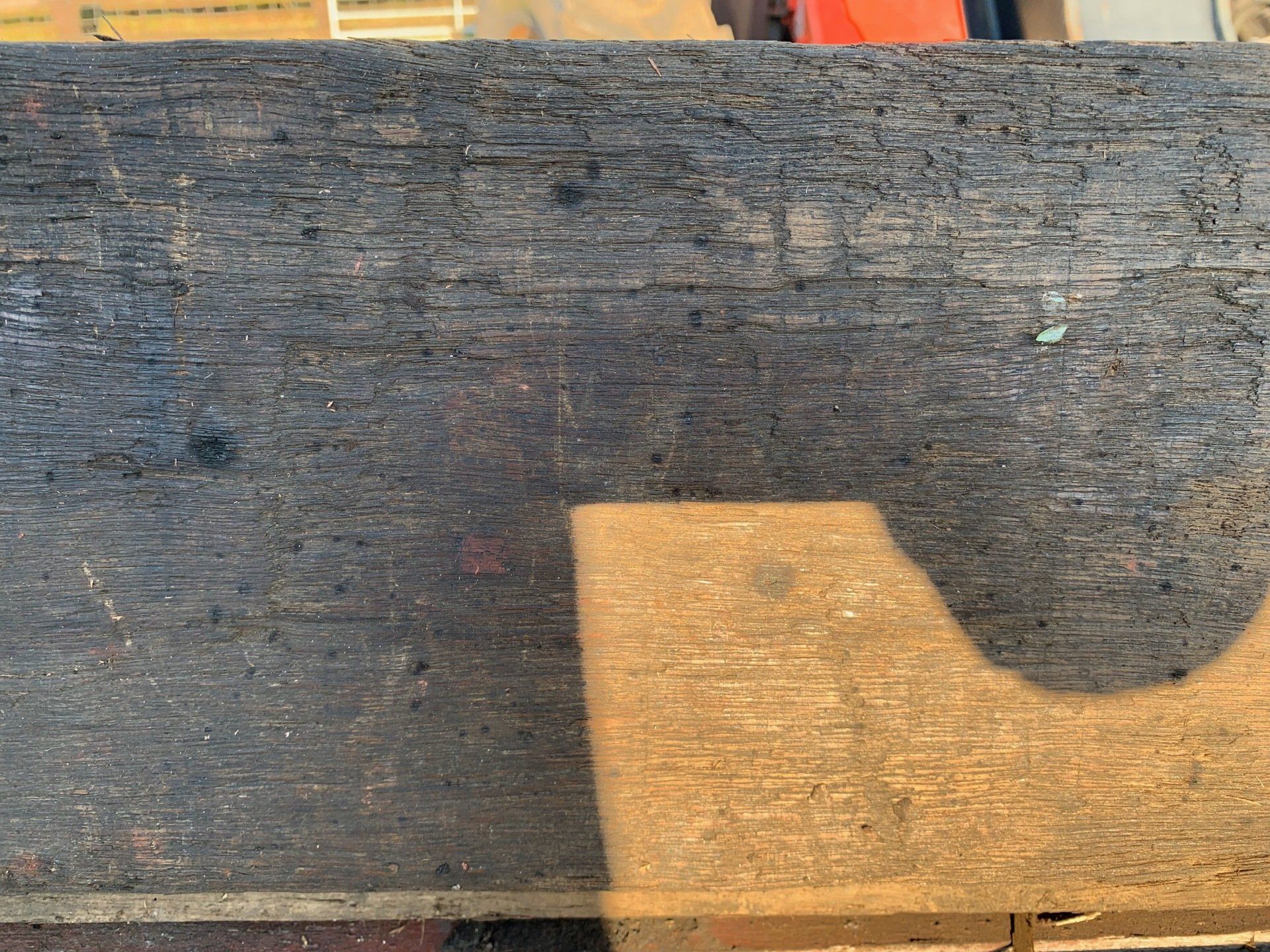 azobe wagon boards
