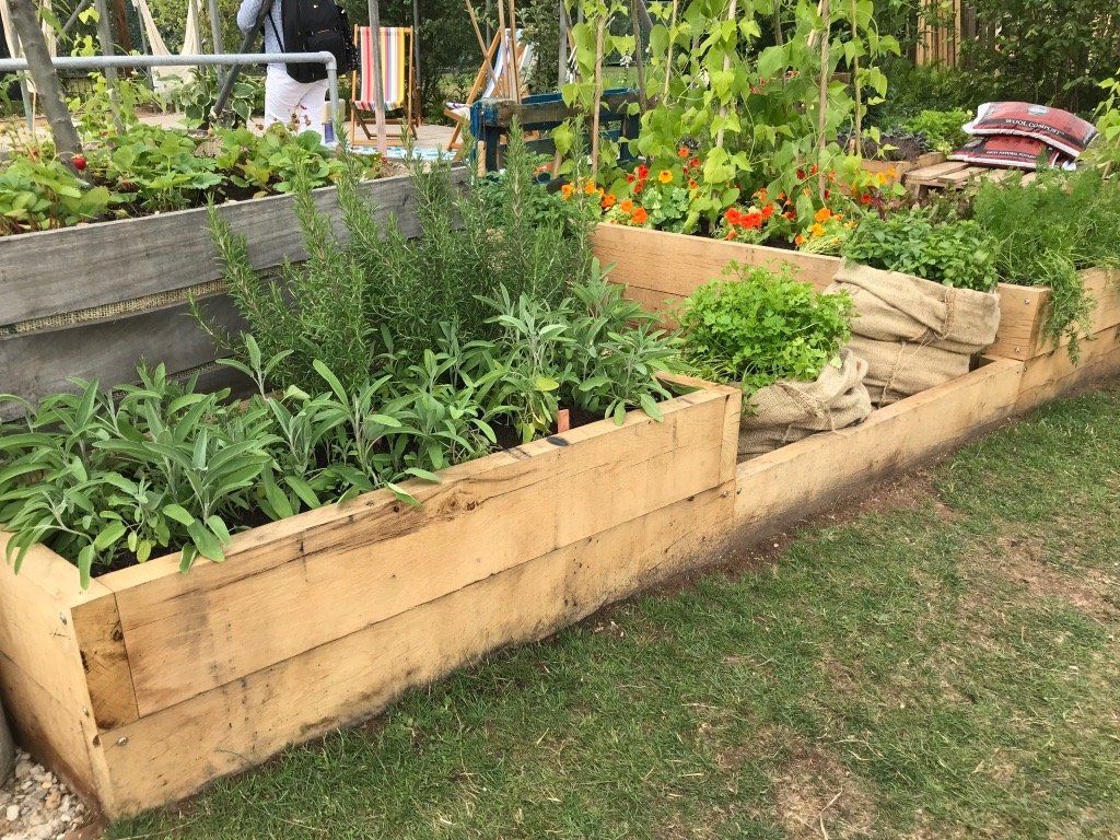 new oak boards