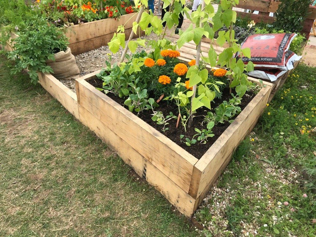new oak boards