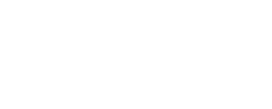 NetApp Logo