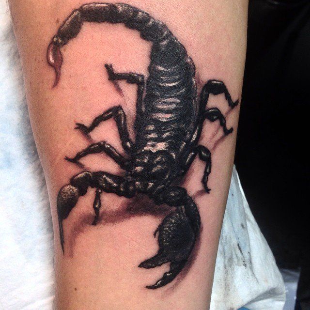 Scorpion Tattoo by Steve Hayes at Black Gold Tattoo Co in Edmonton Alberta Canada