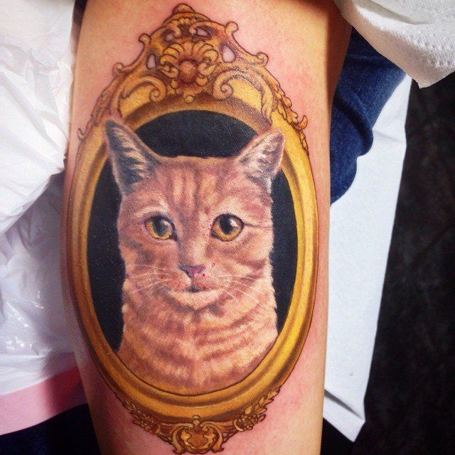 Cat Portrait Tattoo by Steve Hayes at Black Gold Tattoo Co in Edmonton Alberta Canada