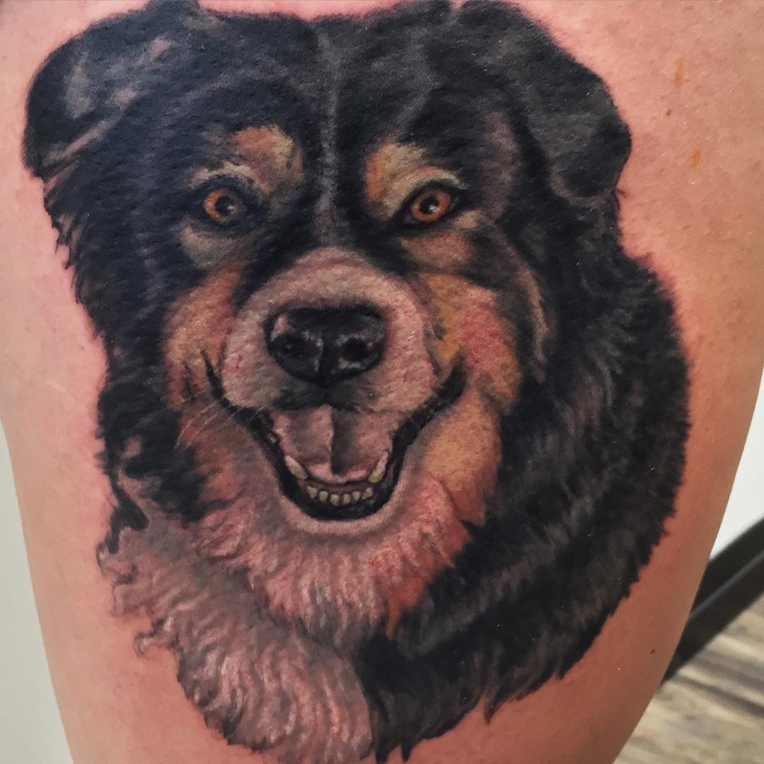 Dog Portrait Tattoo by Steve Hayes at Black Gold Tattoo Co in Edmonton Alberta Canada