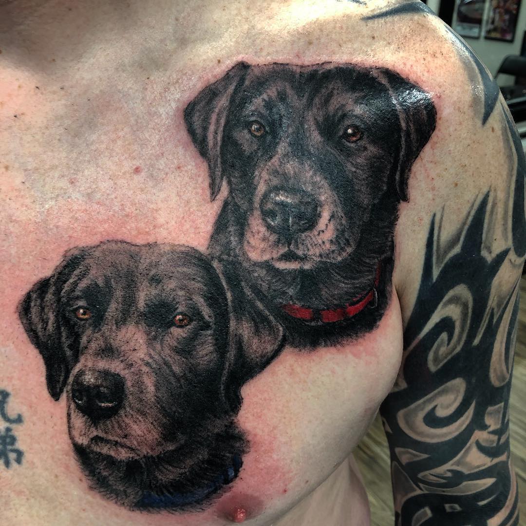 Dog Portraits Tattoo by Steve Hayes at Black Gold Tattoo Co in Edmonton Alberta Canada