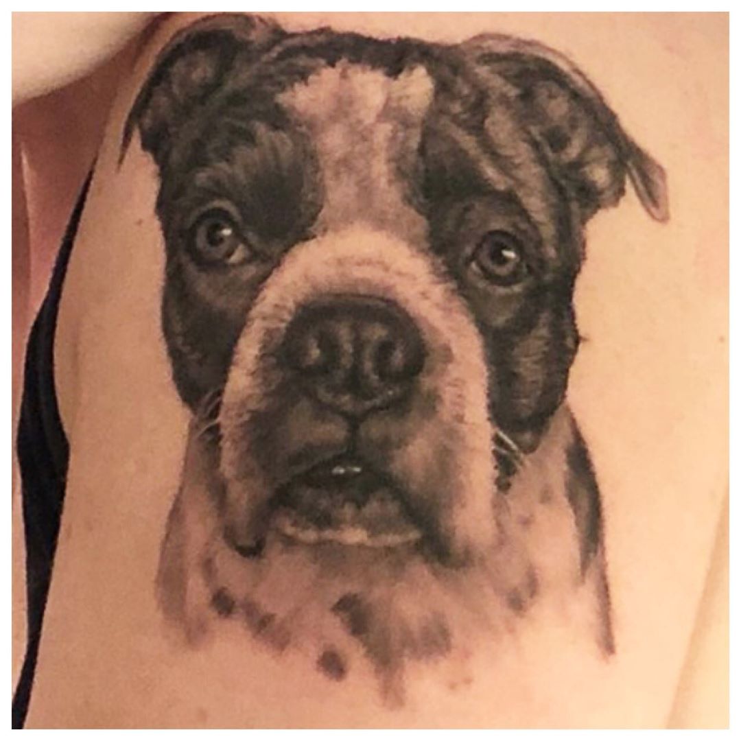 Dog Portrait Tattoo by Steve Hayes at Black Gold Tattoo Co in Edmonton Alberta Canada