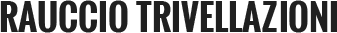 RAUCCIO TRIVELLAZIONI - LOGO