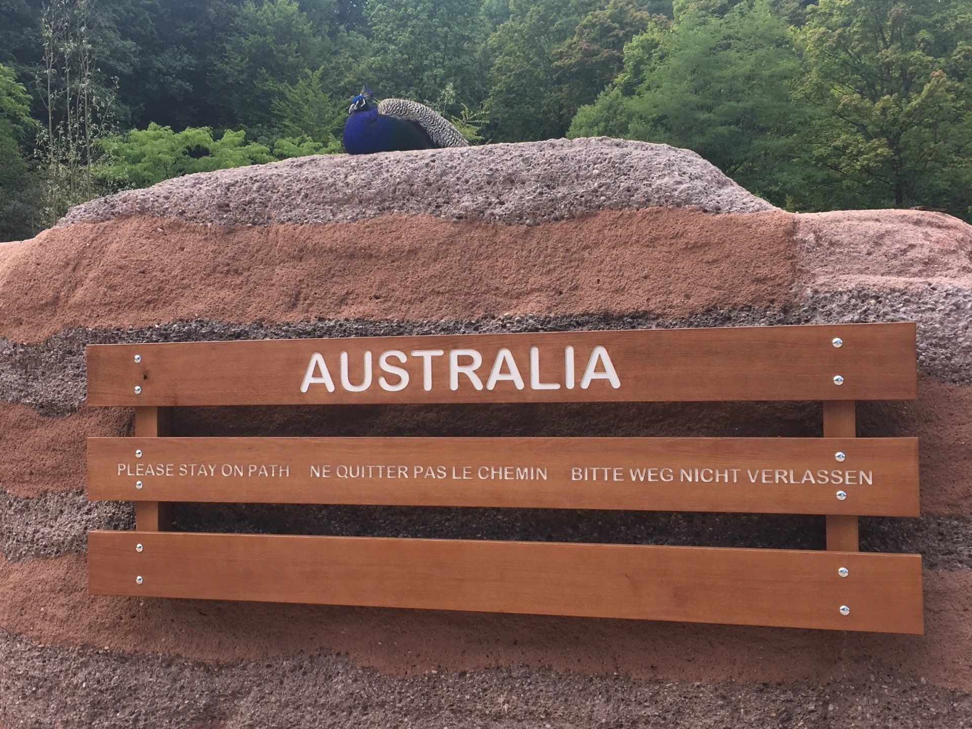 Ein Holzschild mit der Aufschrift „Australien“
