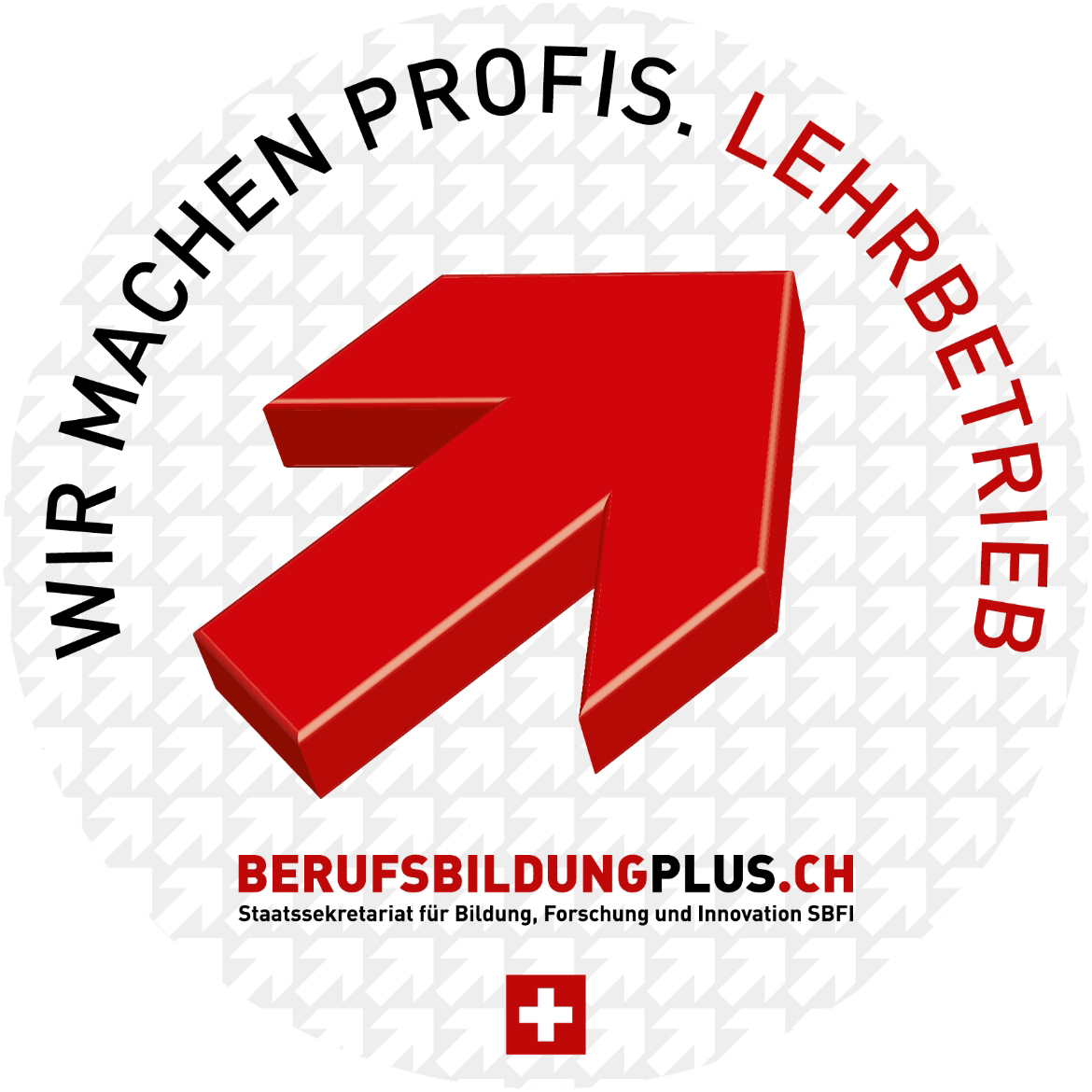 Ein roter Pfeil nach oben mit den Worten „Wir machen Profis“