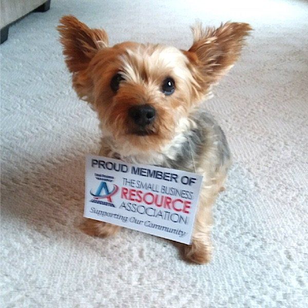 Doggone right! We're all about small business!