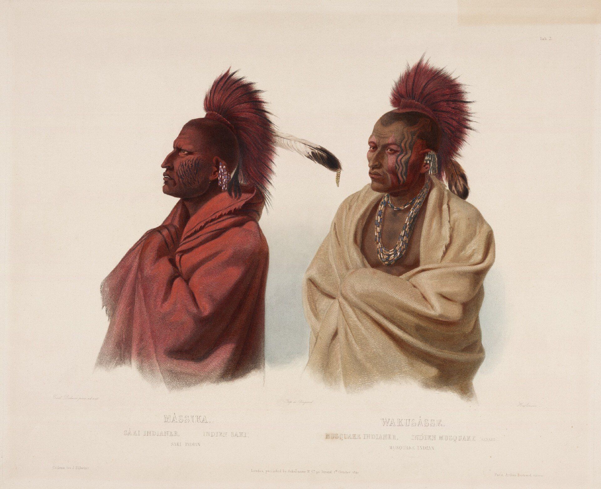 illustration