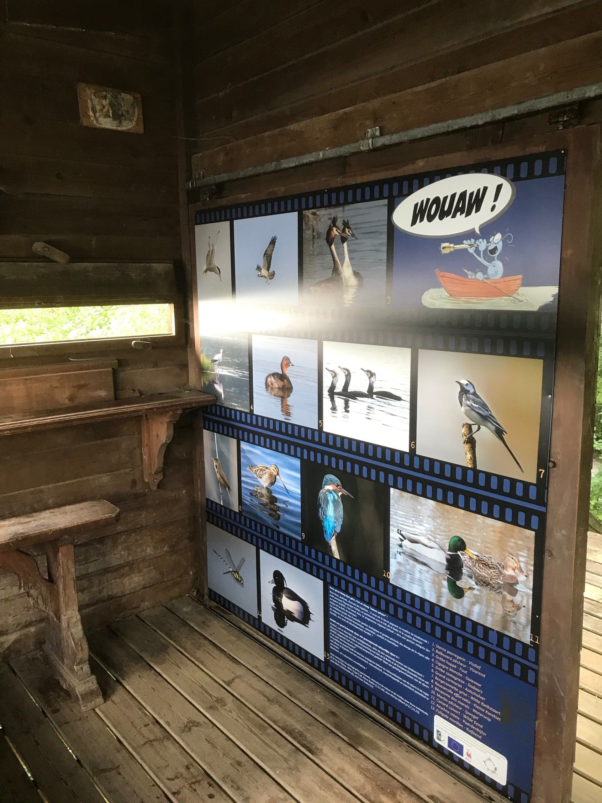 expo oiseaux