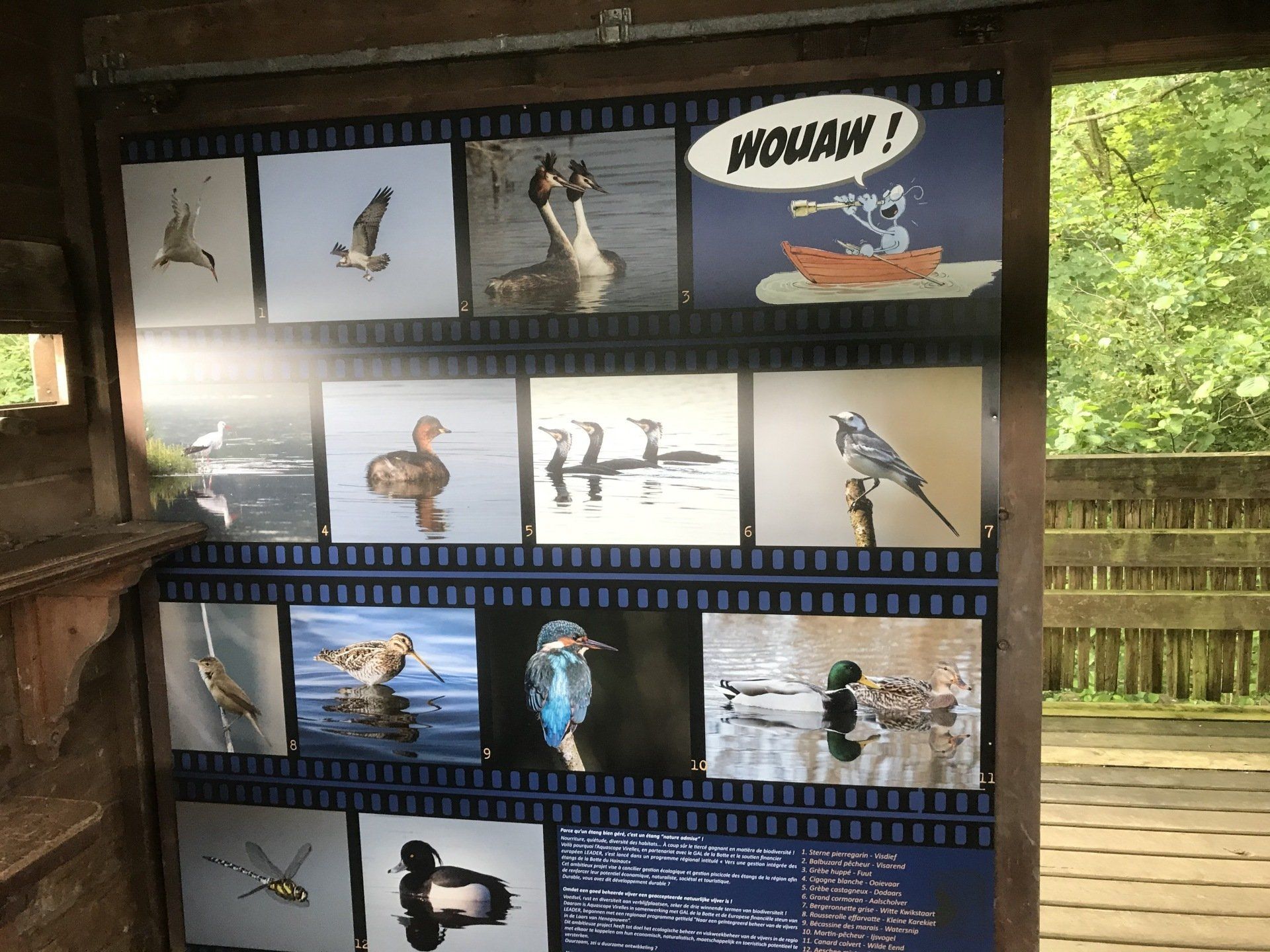 panneau oiseaux