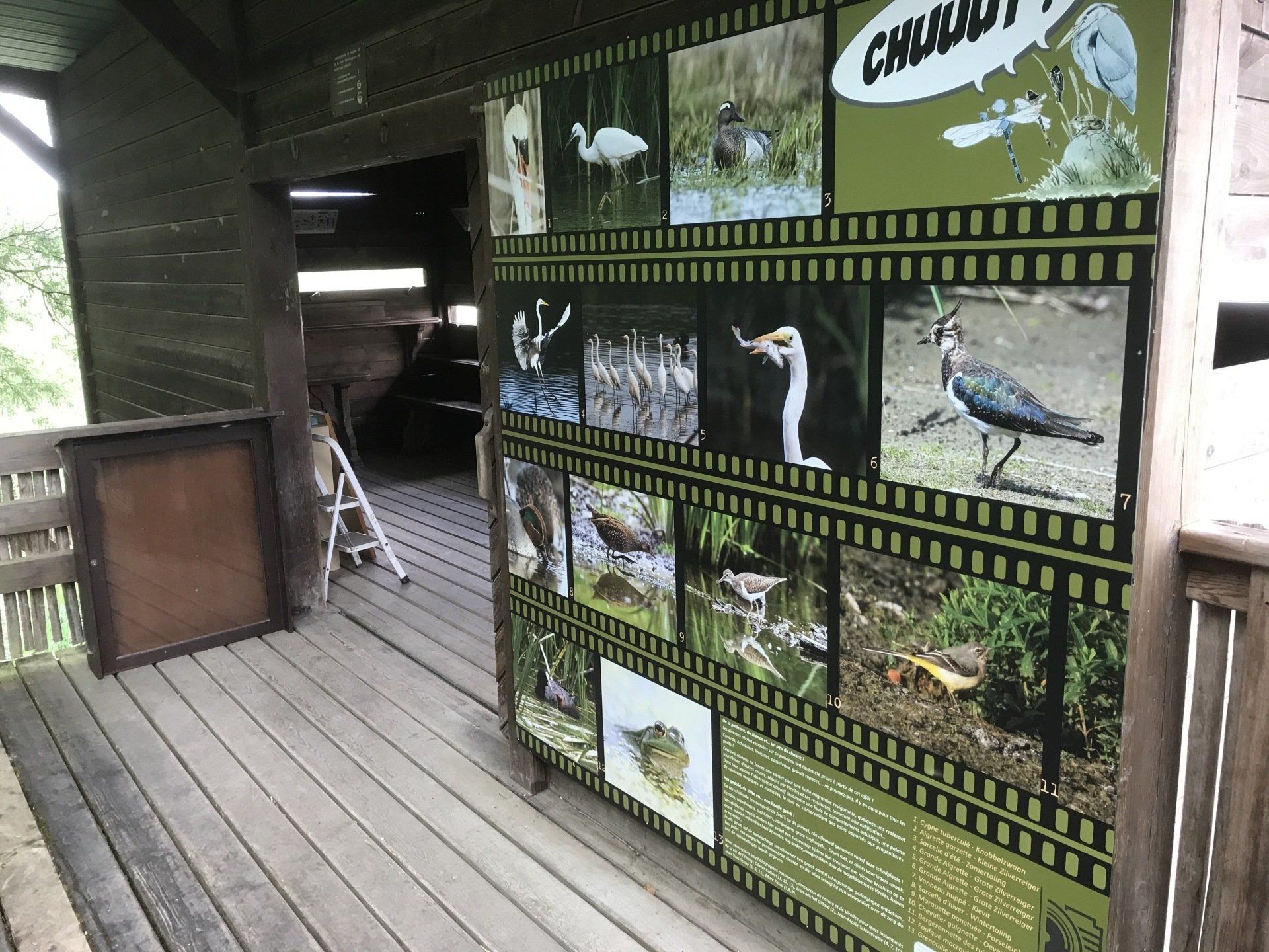panneaux oiseaux extérieur