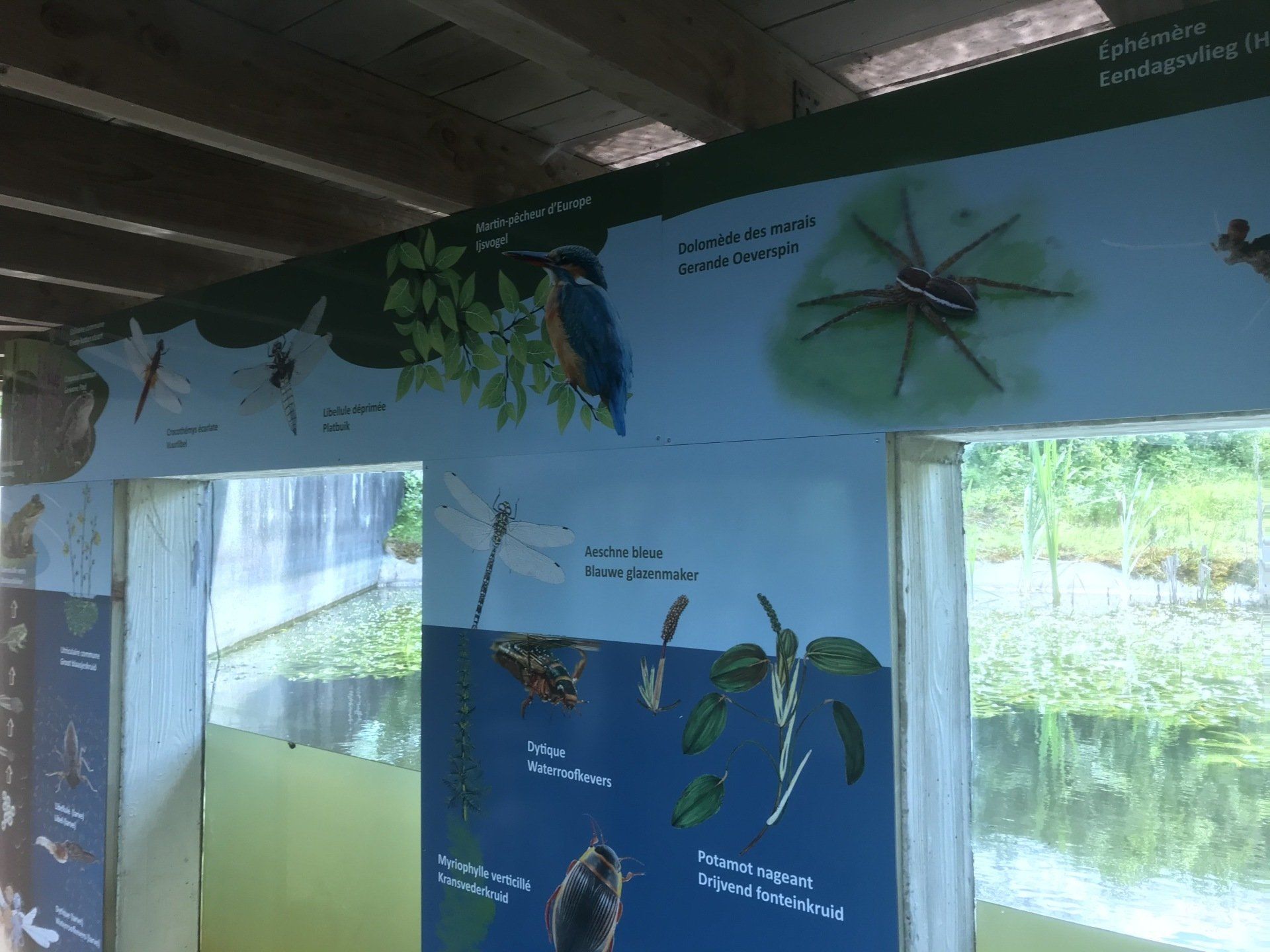 panneau insectes