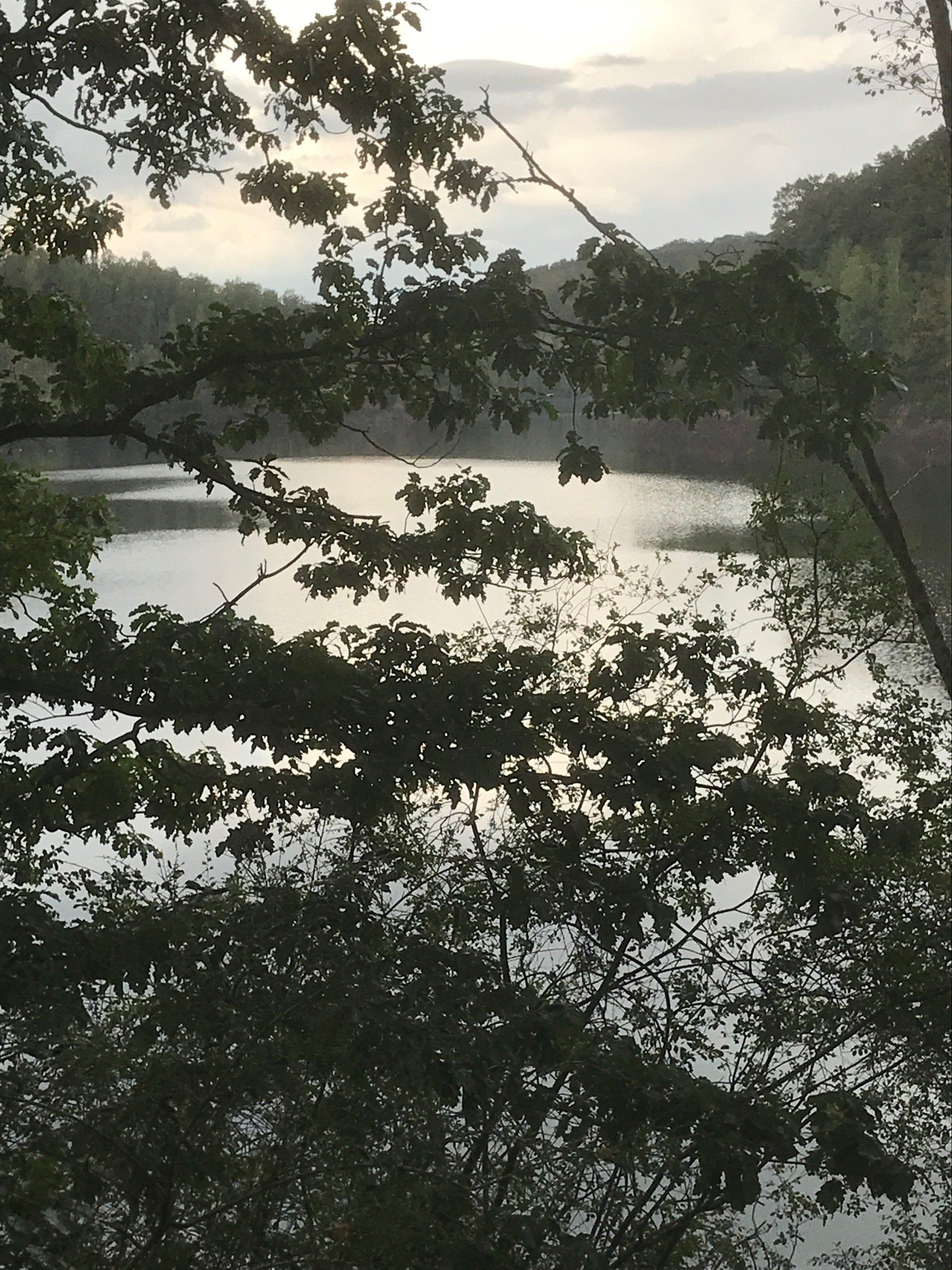lacs et arbres