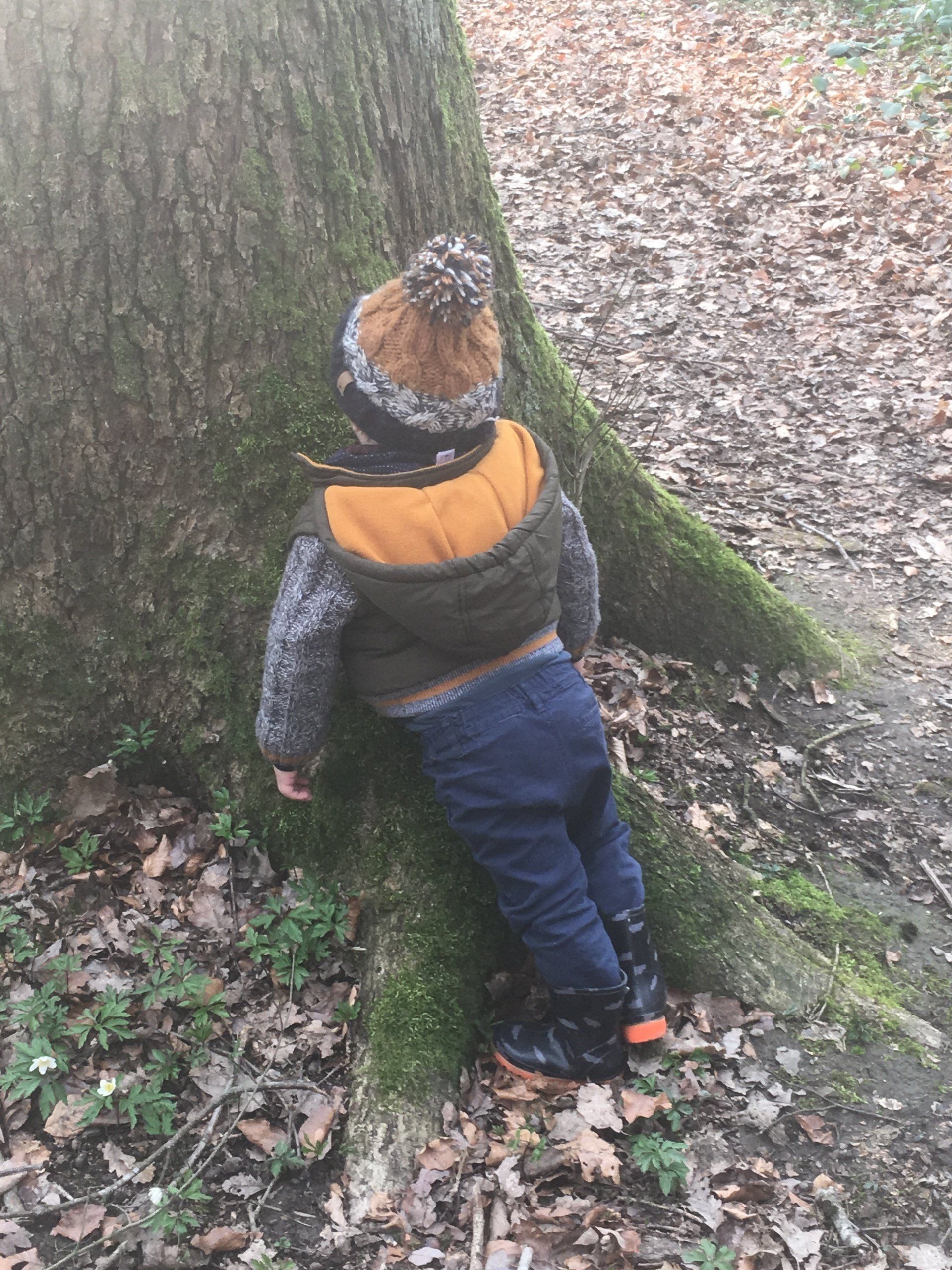 enfant arbre