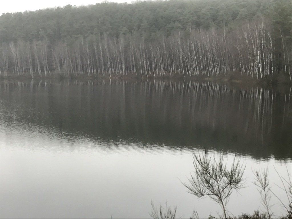 lacs