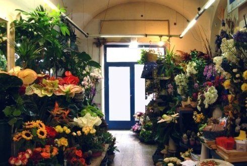 Interno negozio 2