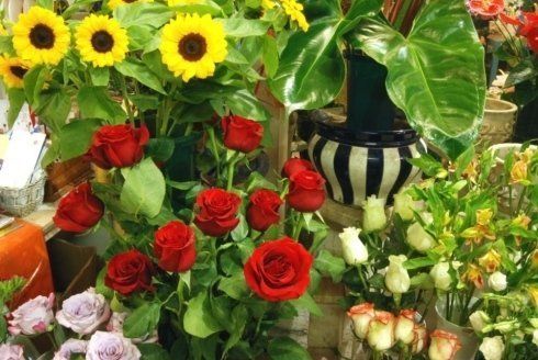 Girasoli e rose
