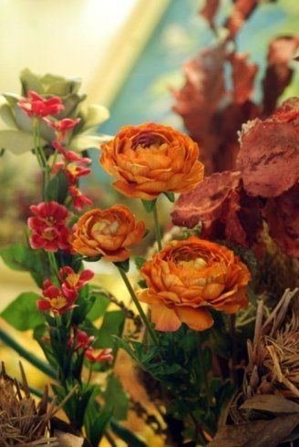 Peonie arancioni