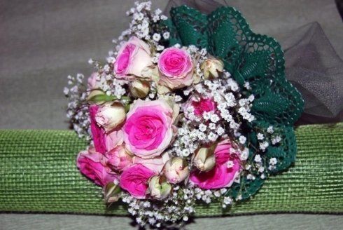 Rose rosa