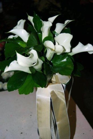 Fiori bianchi