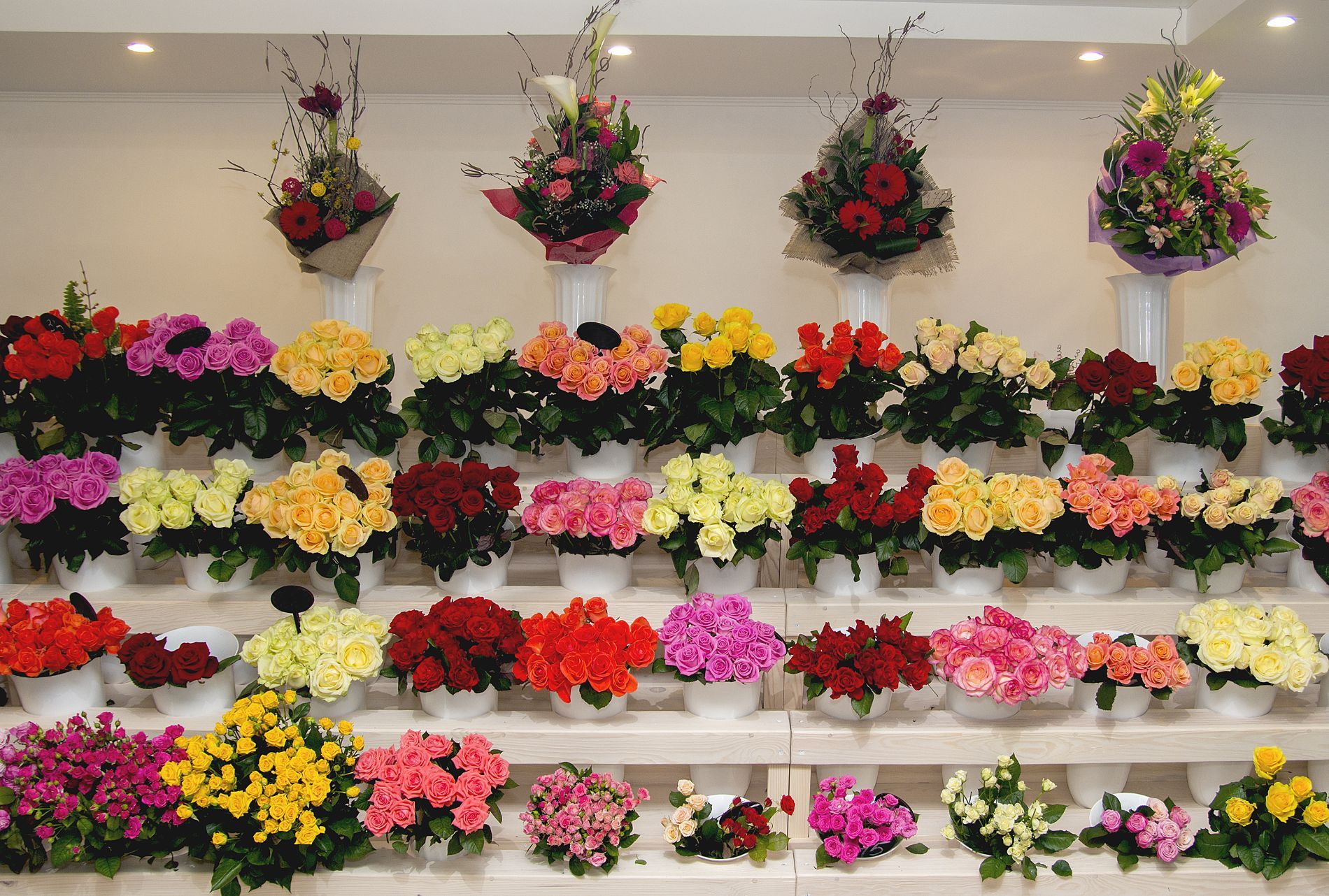 Scaffali con fiori