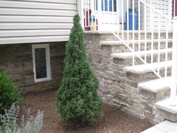 Veneer work by C&P Masons