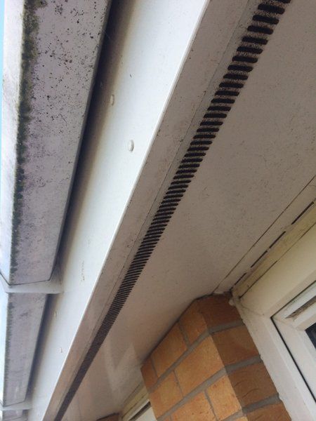 gutter cleaning