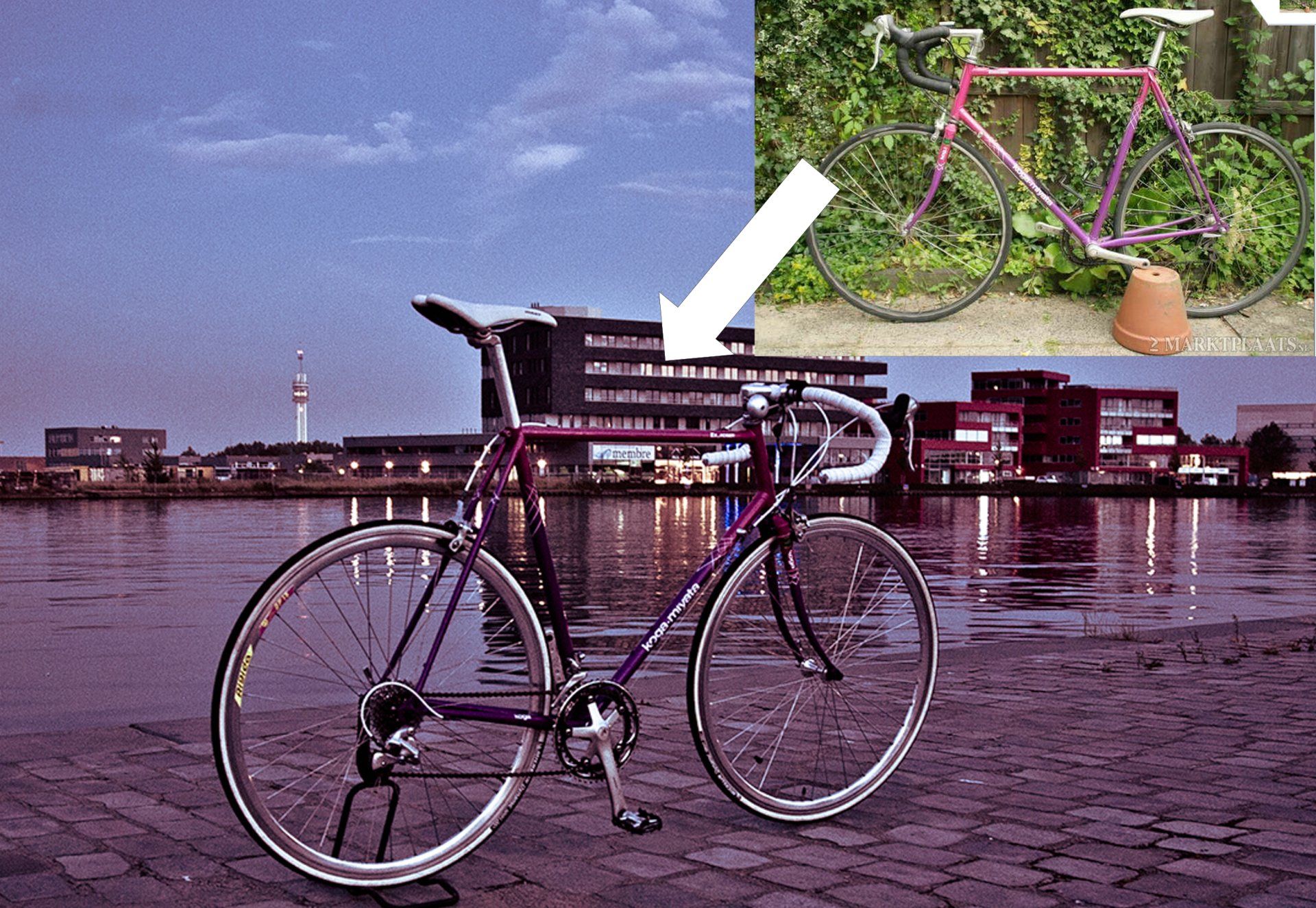 koga exerciser custom bike