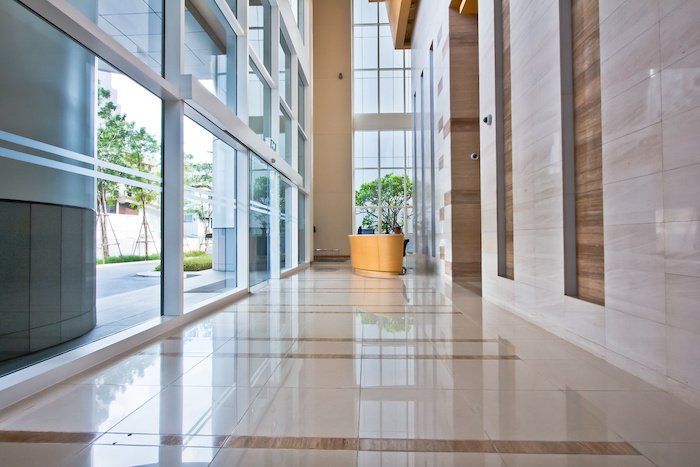 Professional Carpet Cleaning