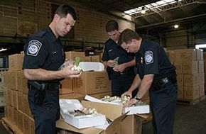 Customs Officers Customs Officers