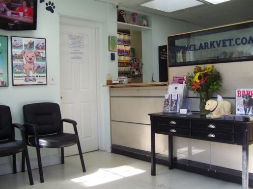 Clark Animal Office - Animal Hospitals in Rahway, NJ