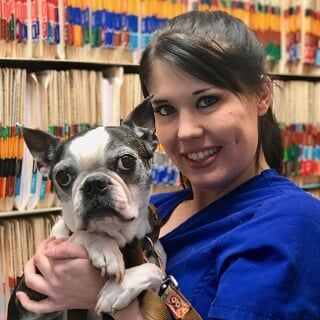 Ashley - Veterinarians in Rahway, NJ