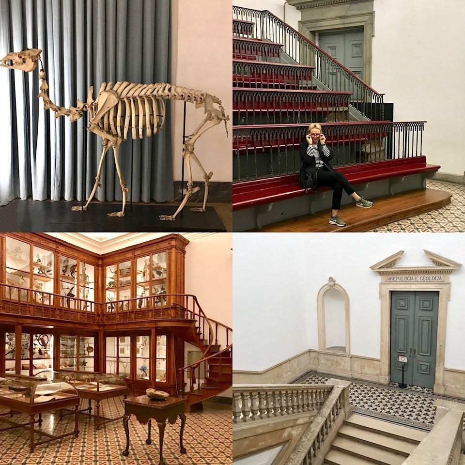 Portugal-Love-cultural-travel-coimbra-university-science-museum-national-gallery