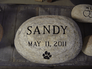 Bronze Plaques — Rock Marked with a Name in Cheektowaga, NY