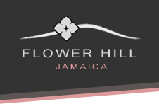 Flower Hill Jamaica Logo Flower Hill Jamaica Logo