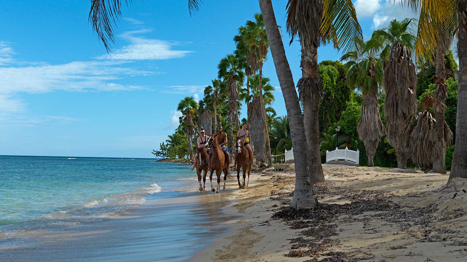 The luxury vacation rental