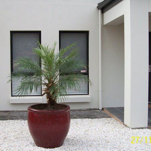landscaping