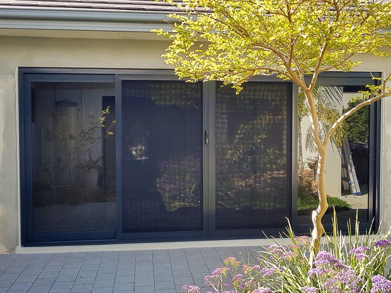 Dark-framed sliding glass door and windows with screen, on a patio, partially obscured by a small tree with yellow leaves.