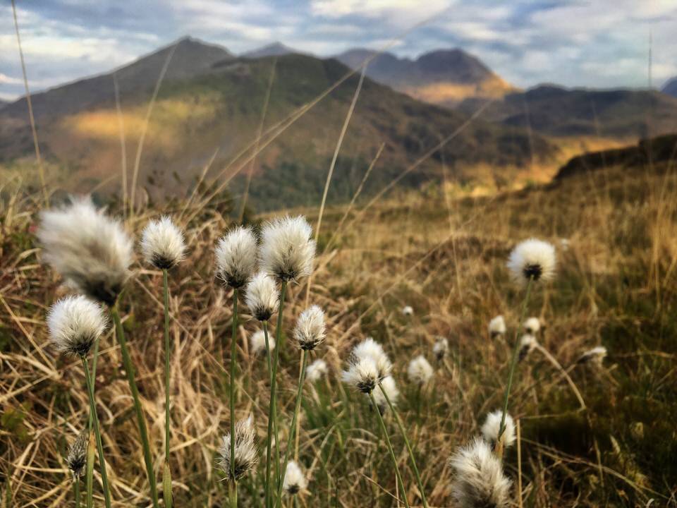 Fell running round North Wales; Snowdonia national park