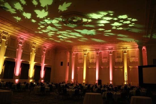 green ceiling lighting